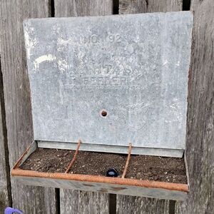 Vintage Galvanized Chicken Feeder Planter